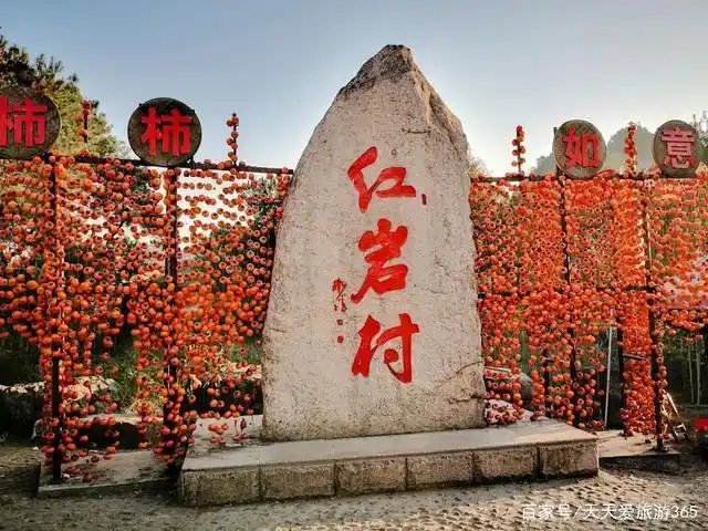探恭城红岩村"柿"外桃源,品灵芝宴,2小时动车直达