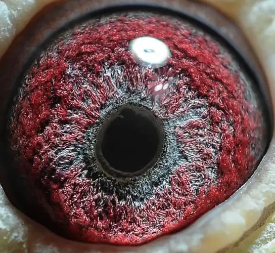 >> 查看拍卖商品