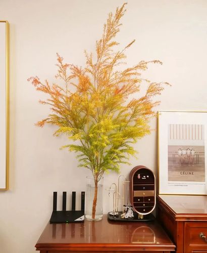 香松千层金黄金松秋色切叶鲜花速递花艺造型家用江浙沪皖两扎包邮