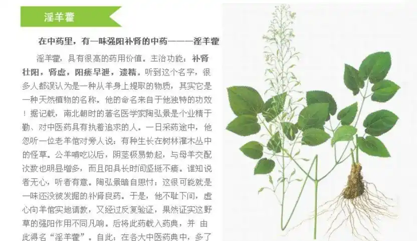 养生元百草茶的功效与作用怎么知道是正品