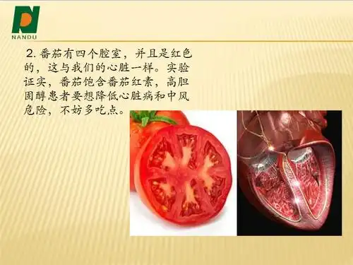 12种最像人体器官的水果ppt
