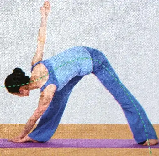 正位瑜伽体式——三角转动式