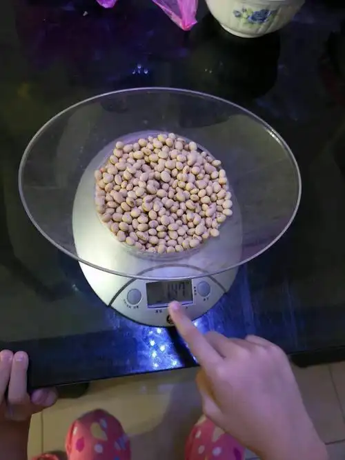 数完后,我又用厨房秤称了这些豆子,一共147g.