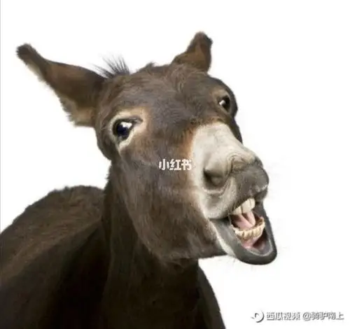 这一年马马虎虎