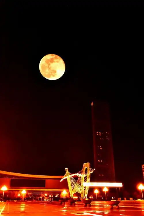 2019年元宵节巧遇"超级月亮"―竹之韵摄
