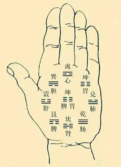 手掌八大丘究竟是什么?