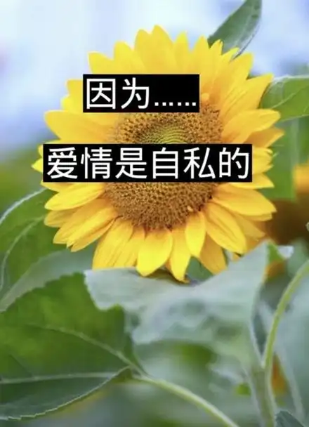 因为爱,所以在乎