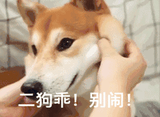 二狗收到表情包 - 二狗收到微信表情包 - 二狗收到qq表情包 - 发表情