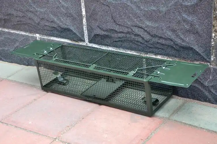 景隆厂家告诉你老鼠笼放什么诱饵好