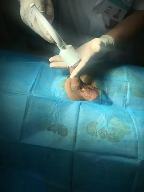 750_1000竖版 竖屏