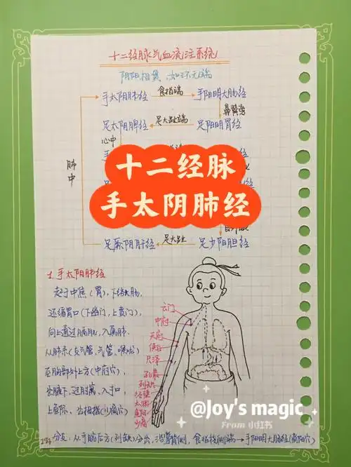 joy的中医笔记54中基手太阴肺经