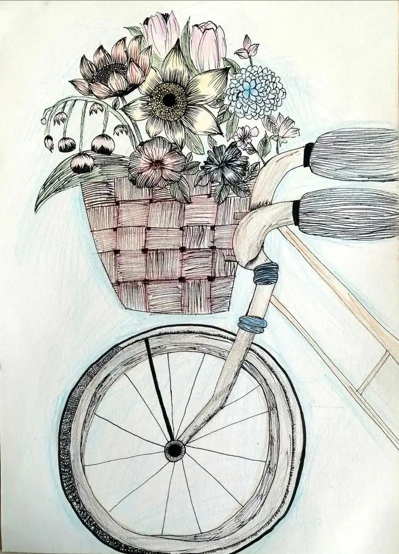 线描画   自行车04.#绘画分享 #儿童绘画作品 #创意美 - 抖音