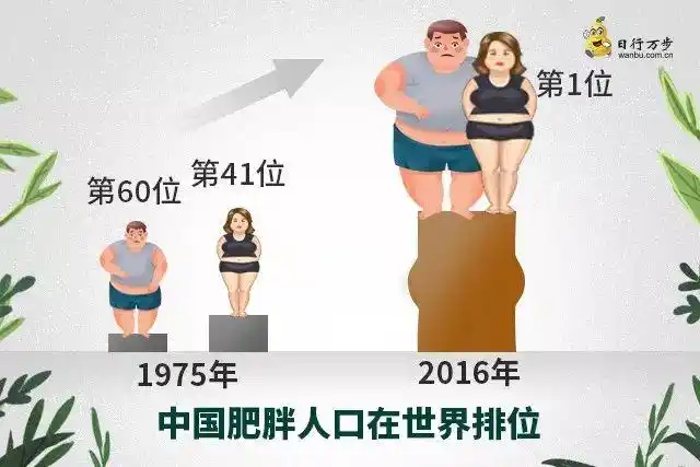 世界已被胖子占领中国肥胖问题凸显