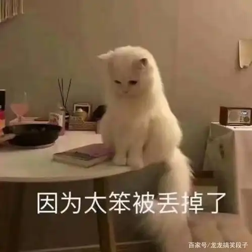 因为太笨被丢掉了