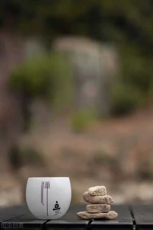 心静禅意的优美句子