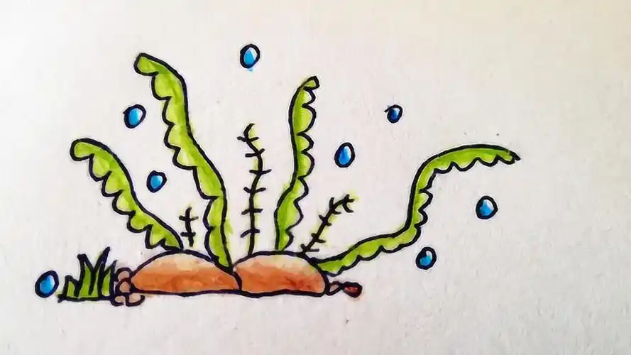 像一棵海草随波飘摇简单的海底水草简笔画绘制