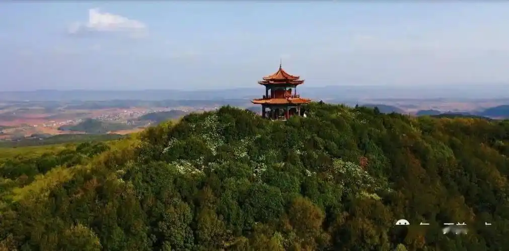 曲靖珠江源杜鹃红遍马雄山