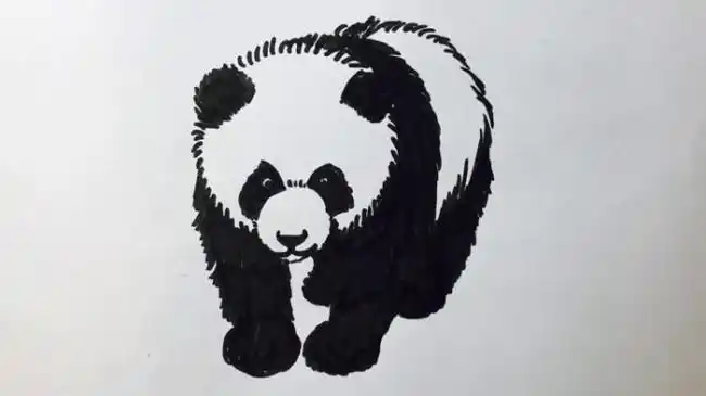 白描简笔画熊猫