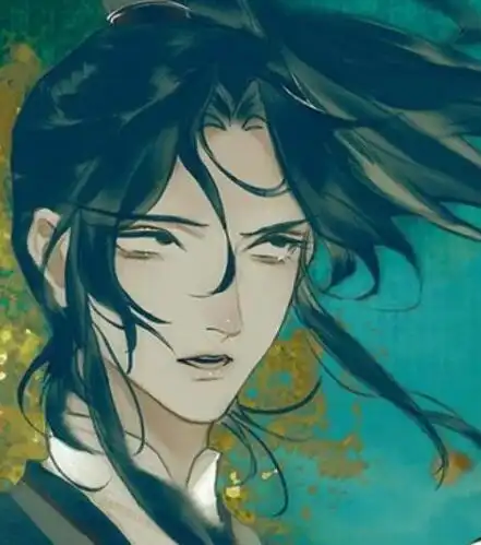 分身出扶摇,以玄真将军小将的身份与风信的分身南风一起帮助谢怜调查