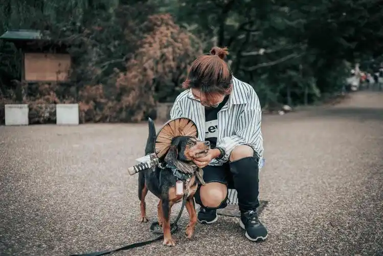 头戴斗笠,系着围巾,身背短刀