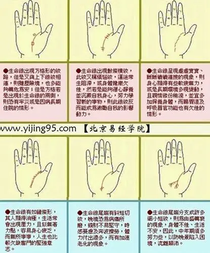 手掌纹路浅(手掌纹路浅而且少)