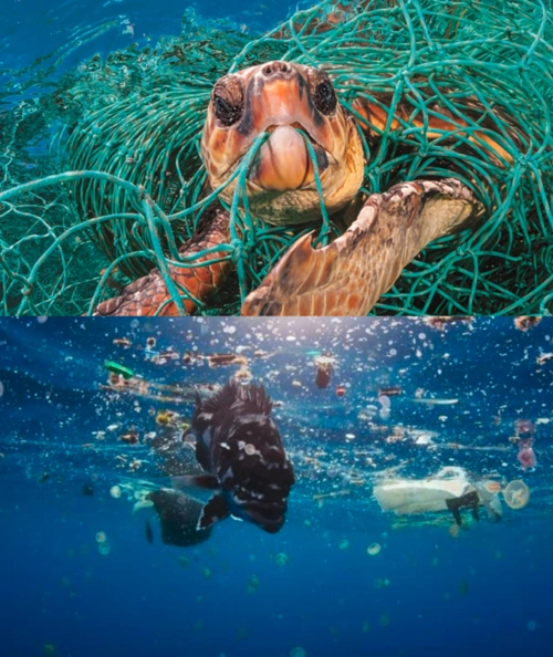 打击海洋垃圾课件