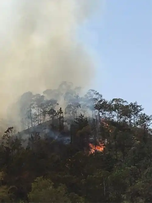 惠州平潭怡发北 山上着火现场