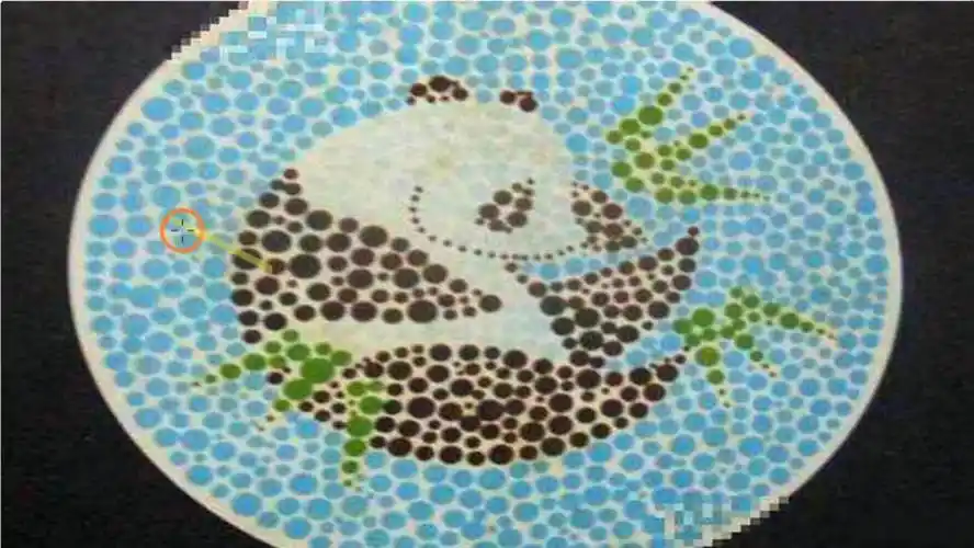 公务员体检色盲测试图中有只大熊猫看不出来怕是无缘公务员啦