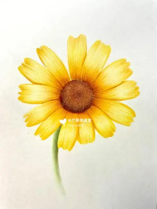 彩铅花卉临摹步骤图#彩铅临摹  #彩铅步骤图  #彩铅入门 #彩铅练习