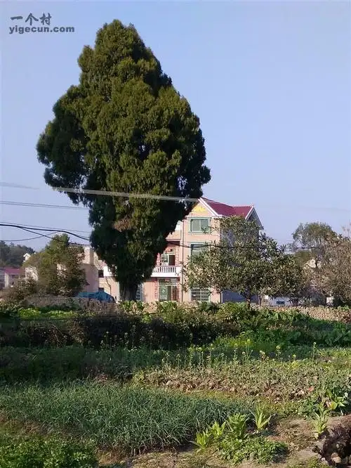 图片_江西省吉安市万安县潞田镇东村