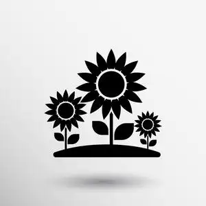 向日葵农场图片