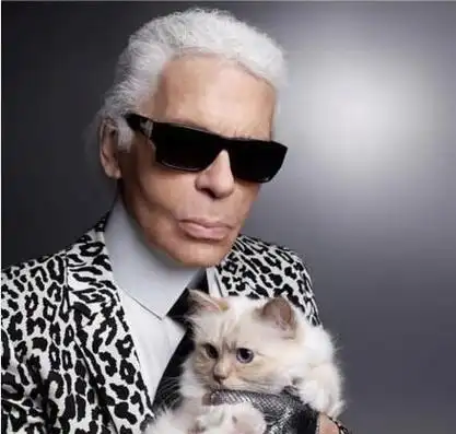 香奈儿老佛爷"卡尔"去世刘雯微博悼念 你有过几件香奈儿-悠哉头条