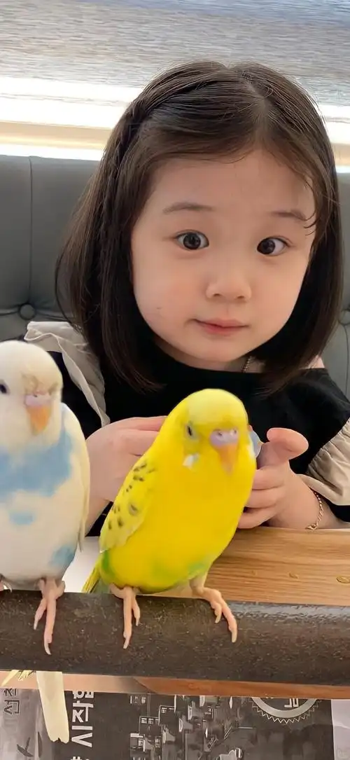 金雪表情包头像壁纸可爱萌娃