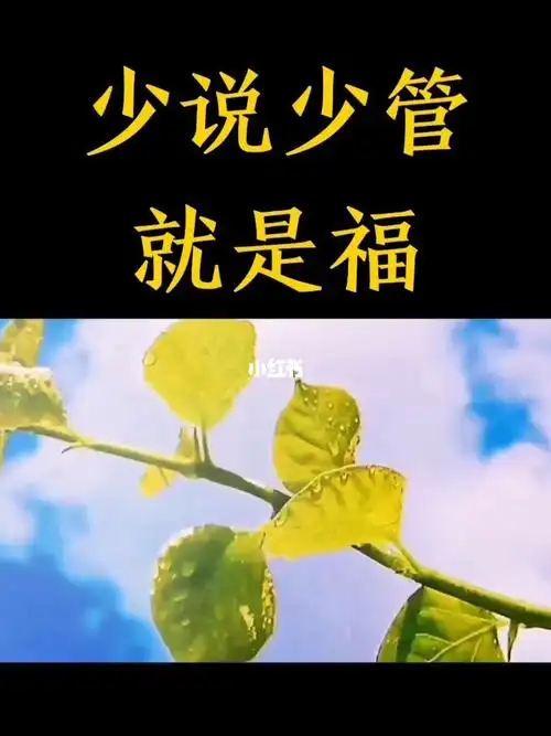 少说少管就是福_人生感悟_语录_情感语录_情感_励志鸡汤