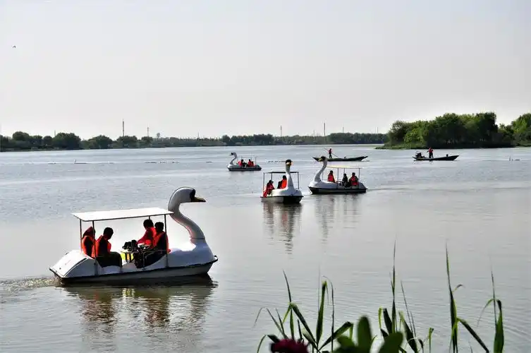 大莲湖上的游船