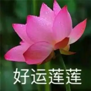 花开富贵好运连连红红火火的主页 - 抖音