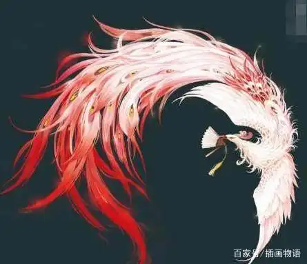 十二星座专属的凤凰神兽,狮子座的特别仙气,天蝎座非常美腻!_网易订阅