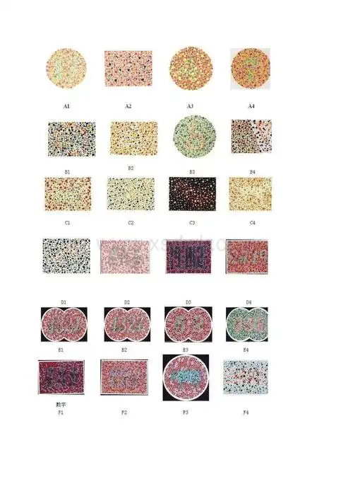 最新色盲图测试及答案doc