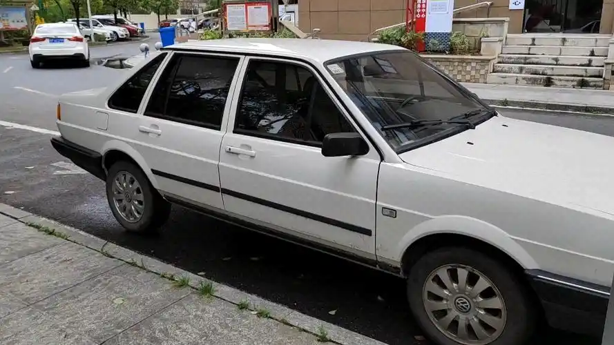 轻灵飘逸的白色老普桑