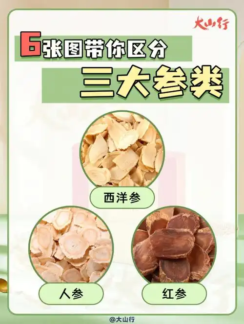 人参西洋参红参怎么区分你适合哪种