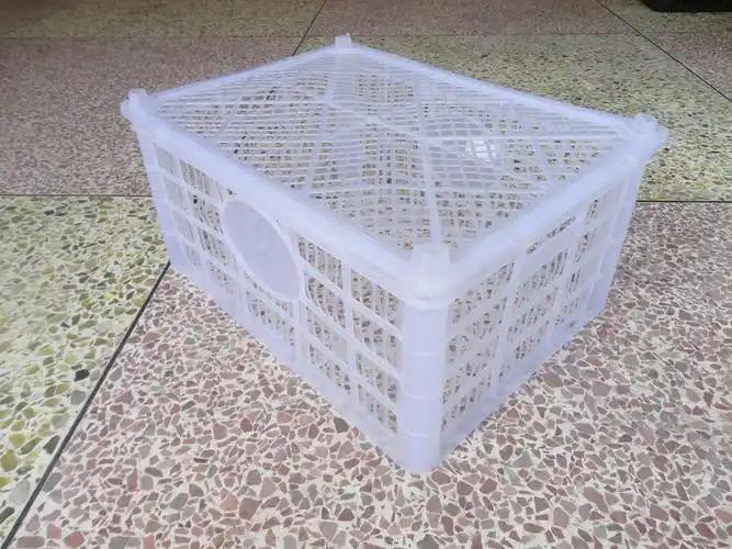 供应原塑料18斤装沙滩桔筐荔枝芦柑水果筐