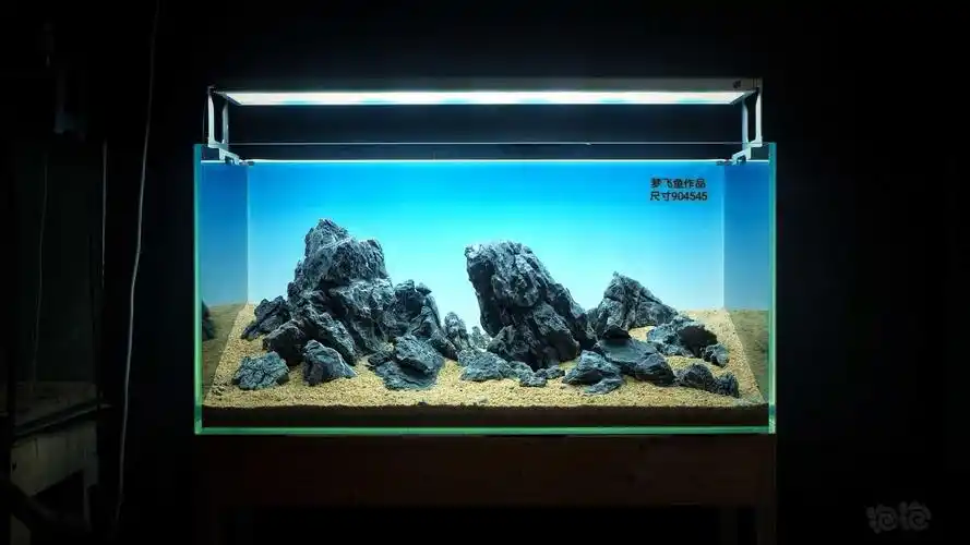 青龙石造景作品