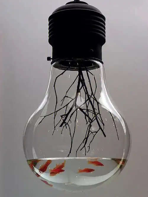 peculiar艺术家分享09无效组合