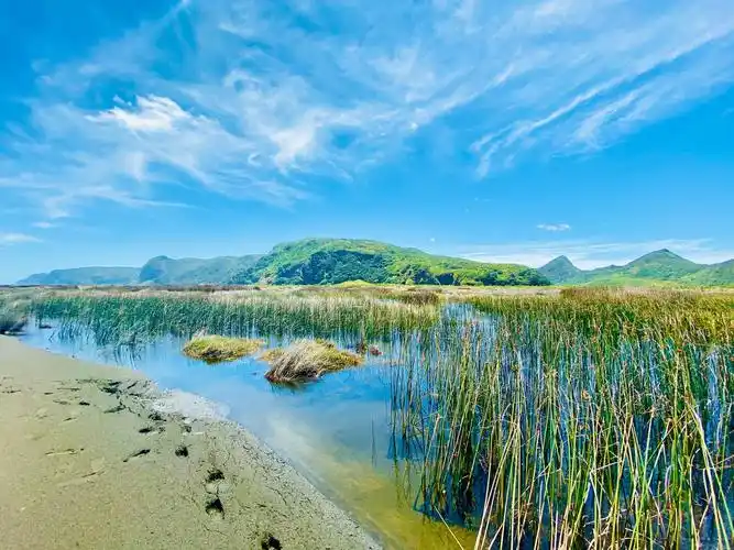 whatipu湿地自然保护区风光旖旎 - 美篇