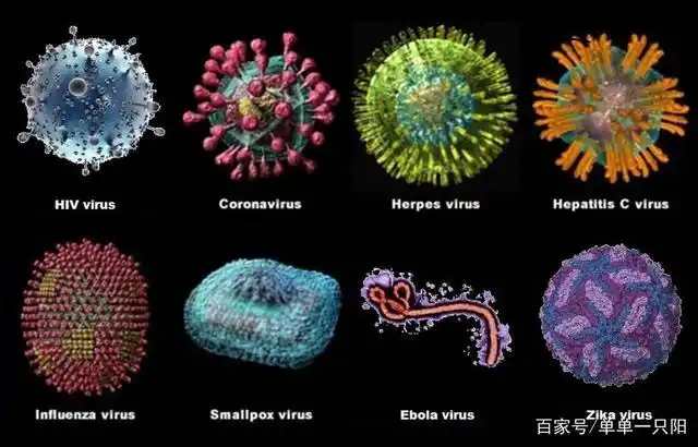 各种各样的病毒