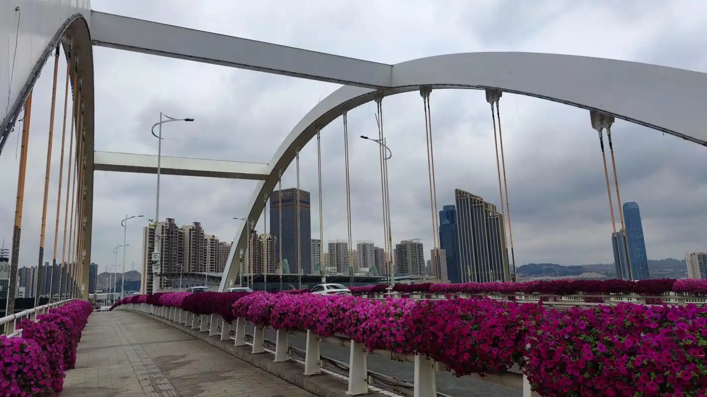 金雁黄河大桥,是兰州市第一座中承式钢箱系杆拱桥,大桥2012年竣工