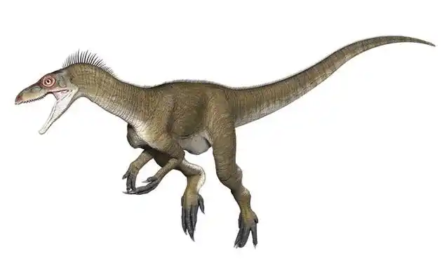 比如始盗龙的"抓握前肢"与后来的兽脚亚目恐龙或蜥脚类恐龙之间到底有