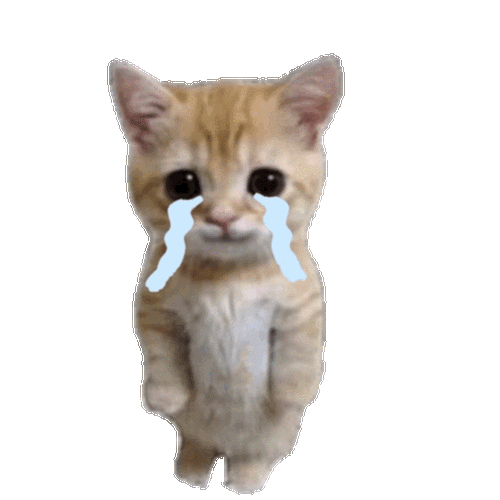 萌宠猫咪哭呆萌可爱gif动图_动态图_表情包下载_soogif