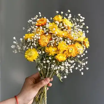 满天星干花花束生日礼物云南小雏菊真花风干天然diy野餐麦秆菠萝菊