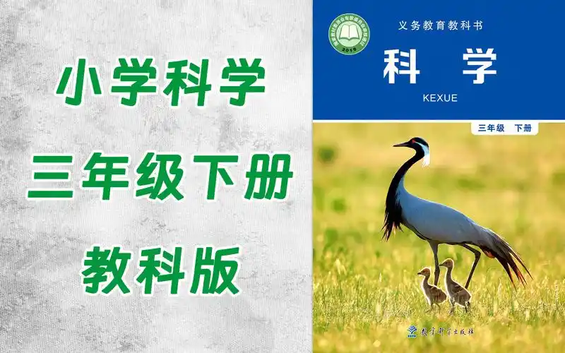 tt0026-081-小学三年级科学教科版下册-全33集